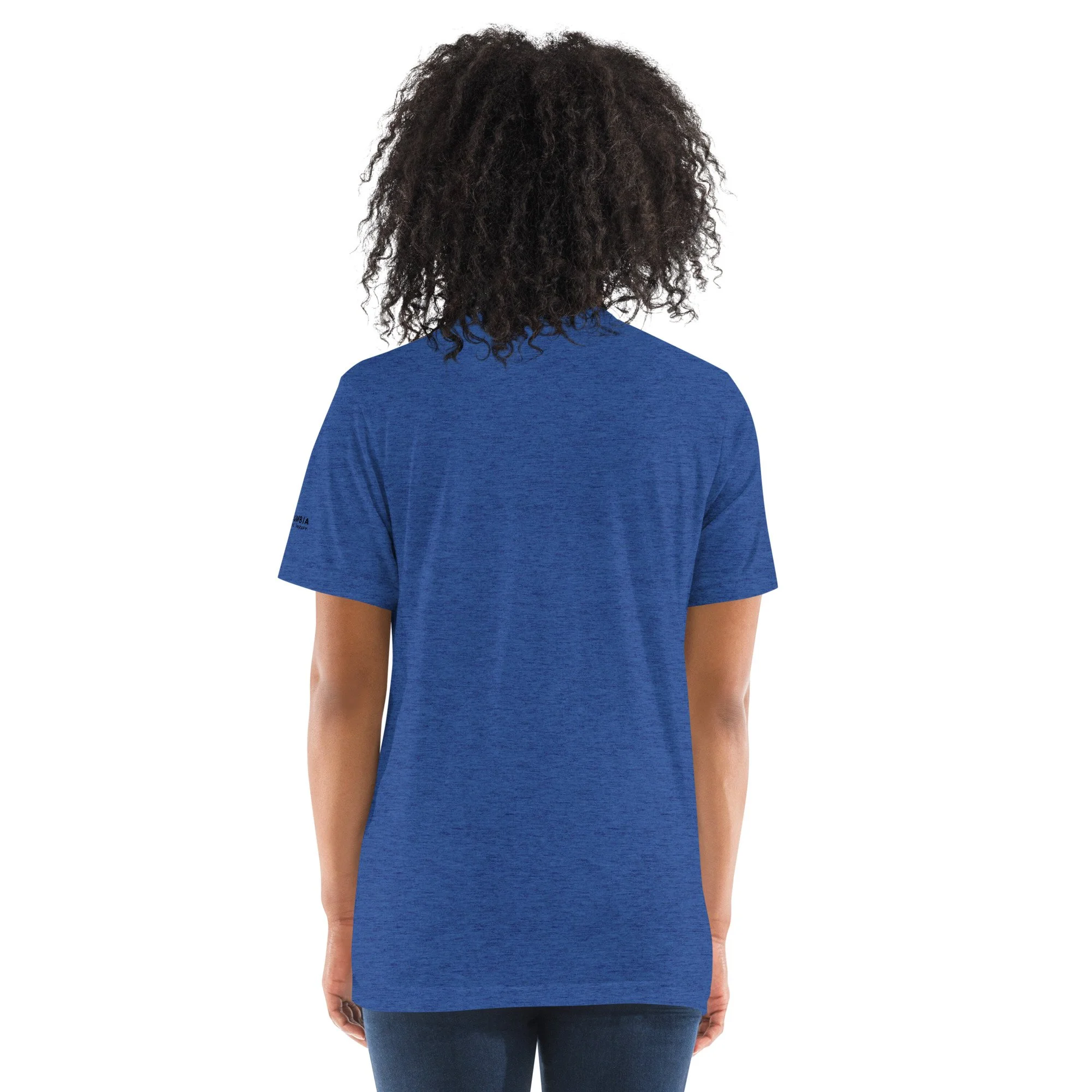 unisex-tri-blend-t-shirt-true-royal-triblend-back-68f49151b774a.jpg