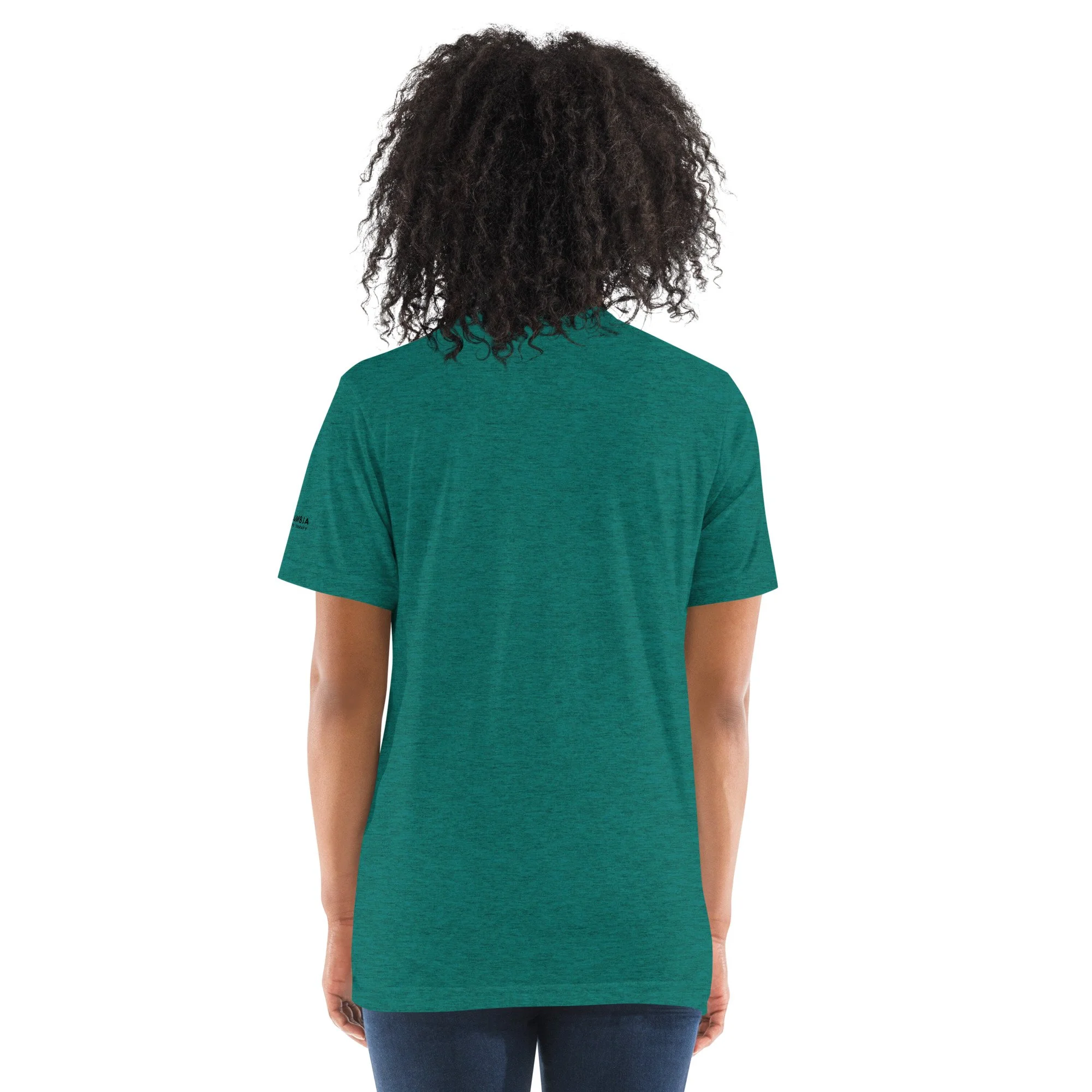 unisex-tri-blend-t-shirt-teal-triblend-back-68f49151cc40e.jpg
