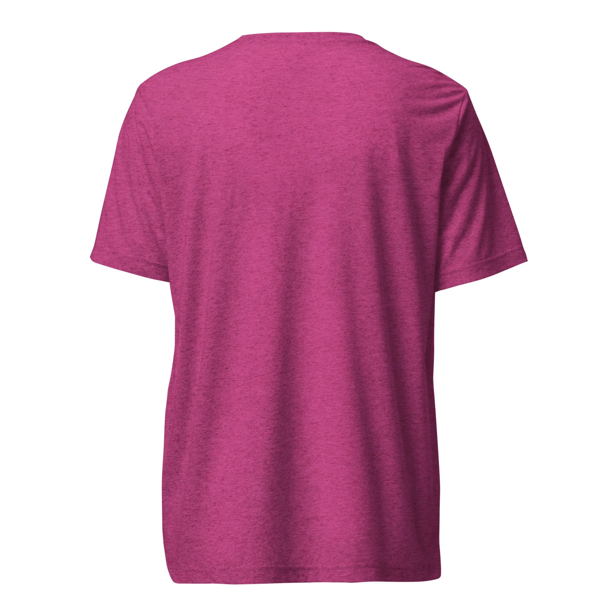 unisex-tri-blend-t-shirt-berry-triblend-back-6a63f33539071.jpg