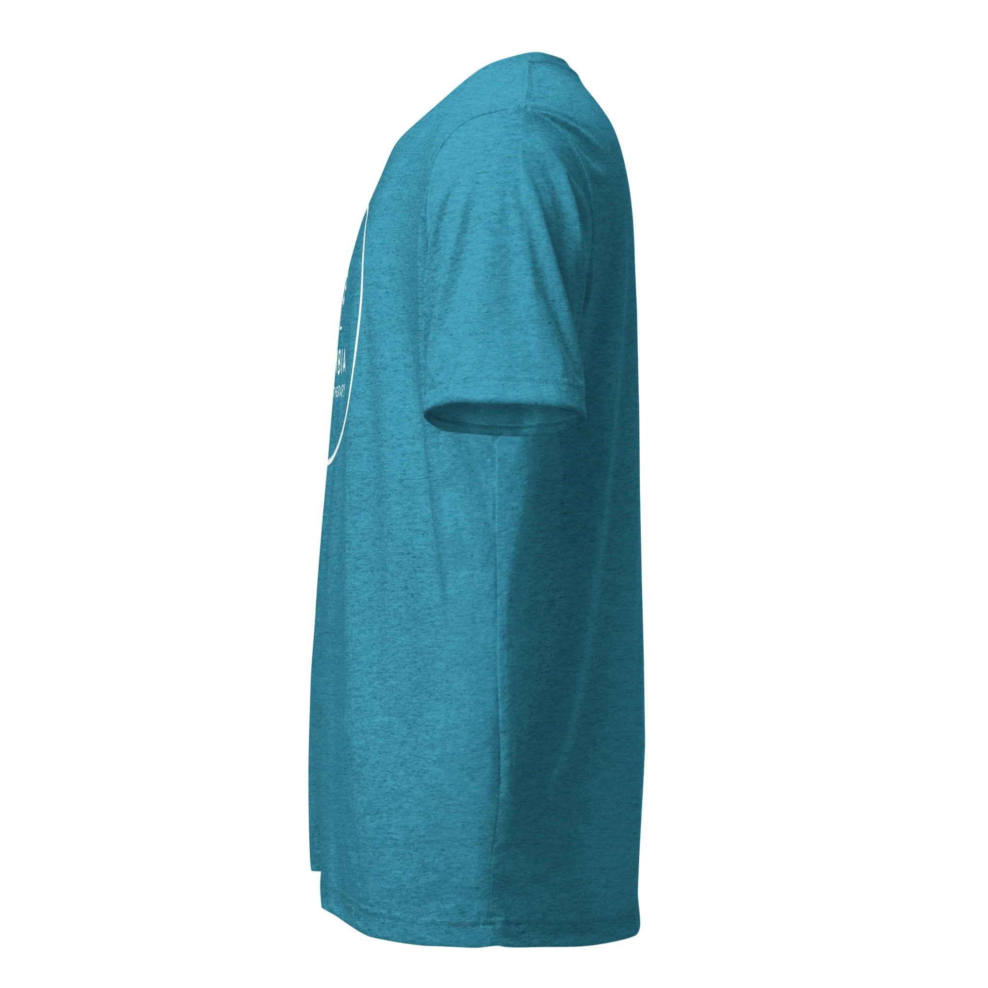 unisex-tri-blend-t-shirt-aqua-triblend-left-6a63f33539e98.jpg