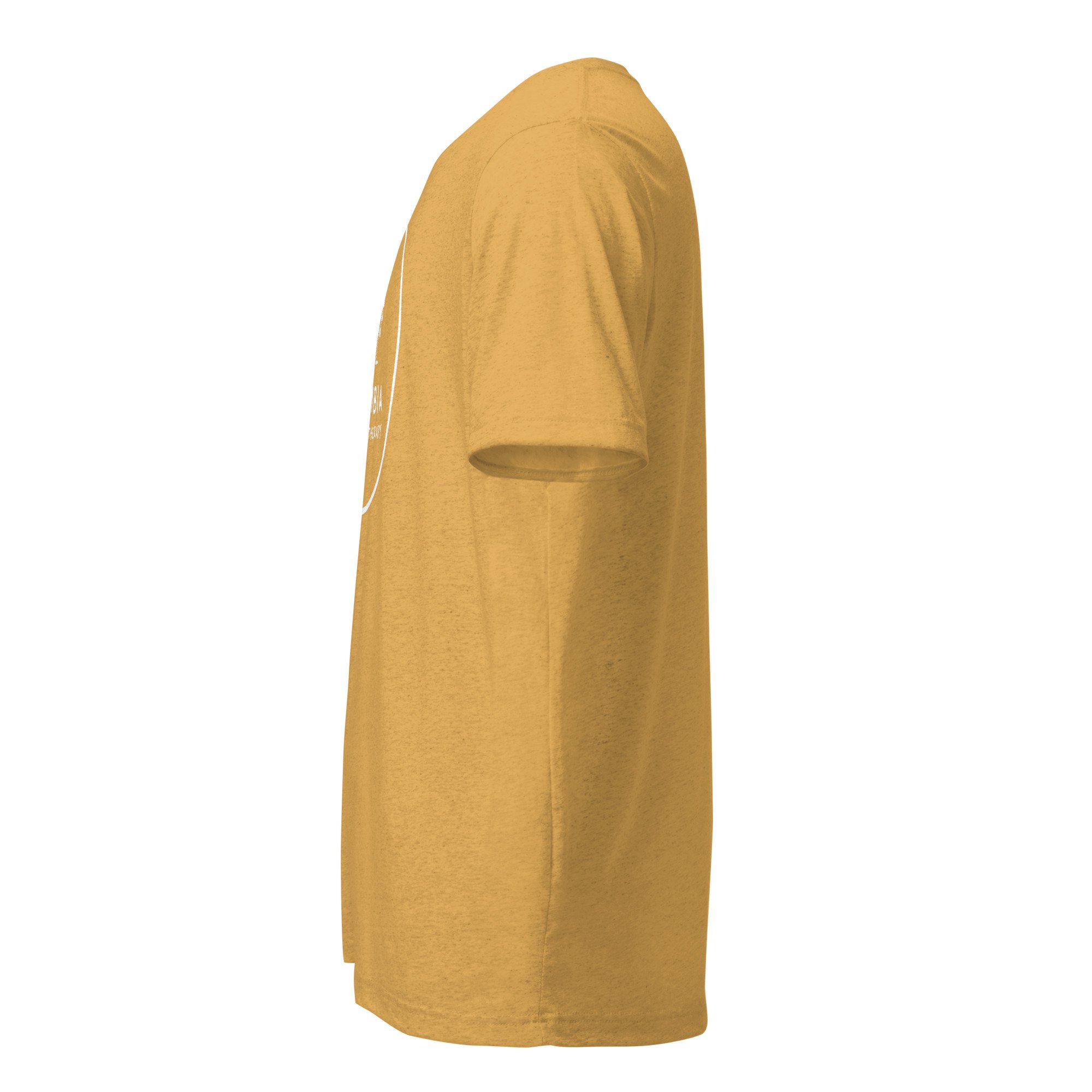 unisex-tri-blend-t-shirt-mustard-triblend-left-6a63f33539f5a.jpg