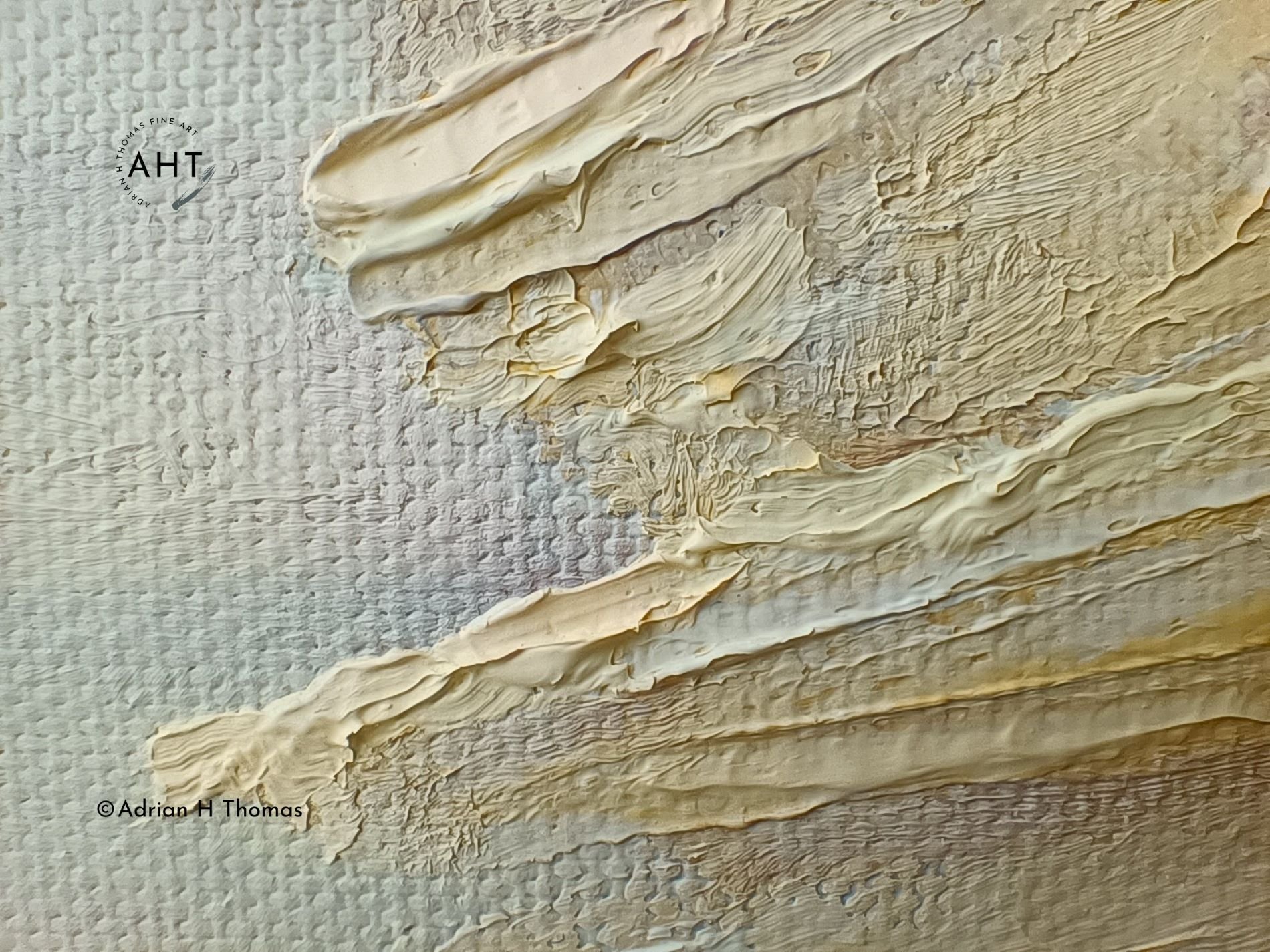 Fossil detail3.jpg