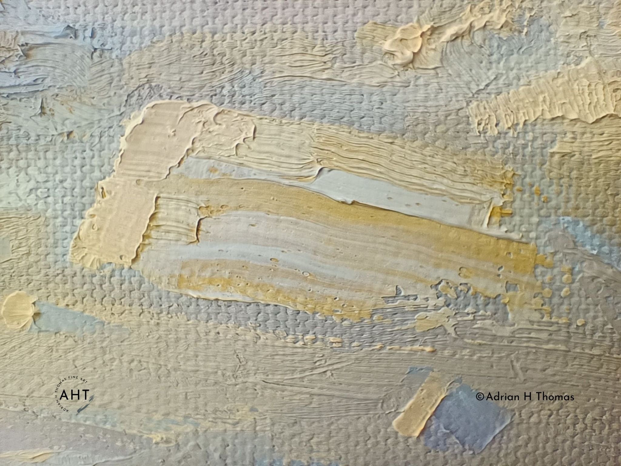 Fossil detail.jpg