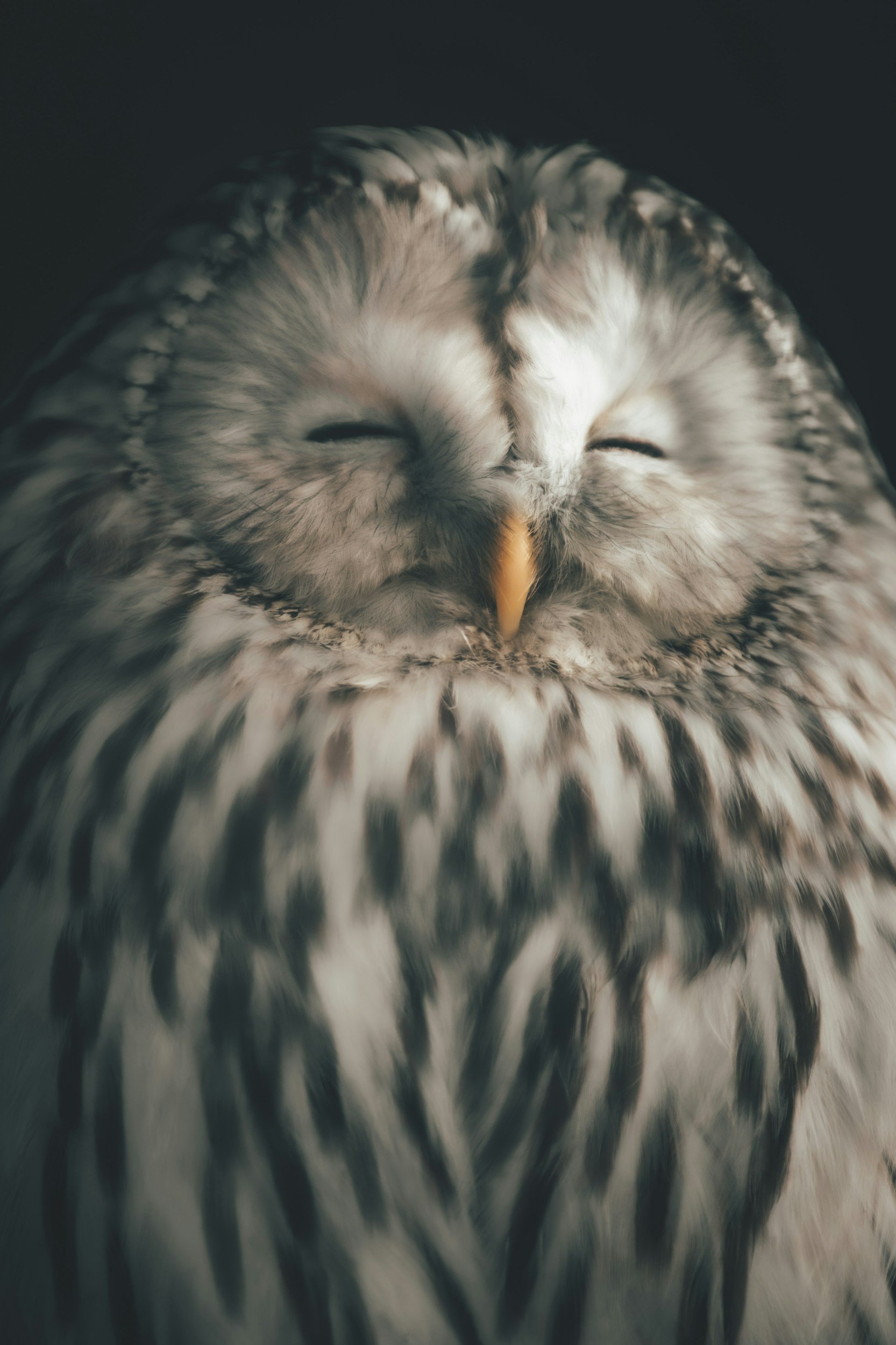 Understanding Sleep, Cortisol and Your Circadian Rhythm