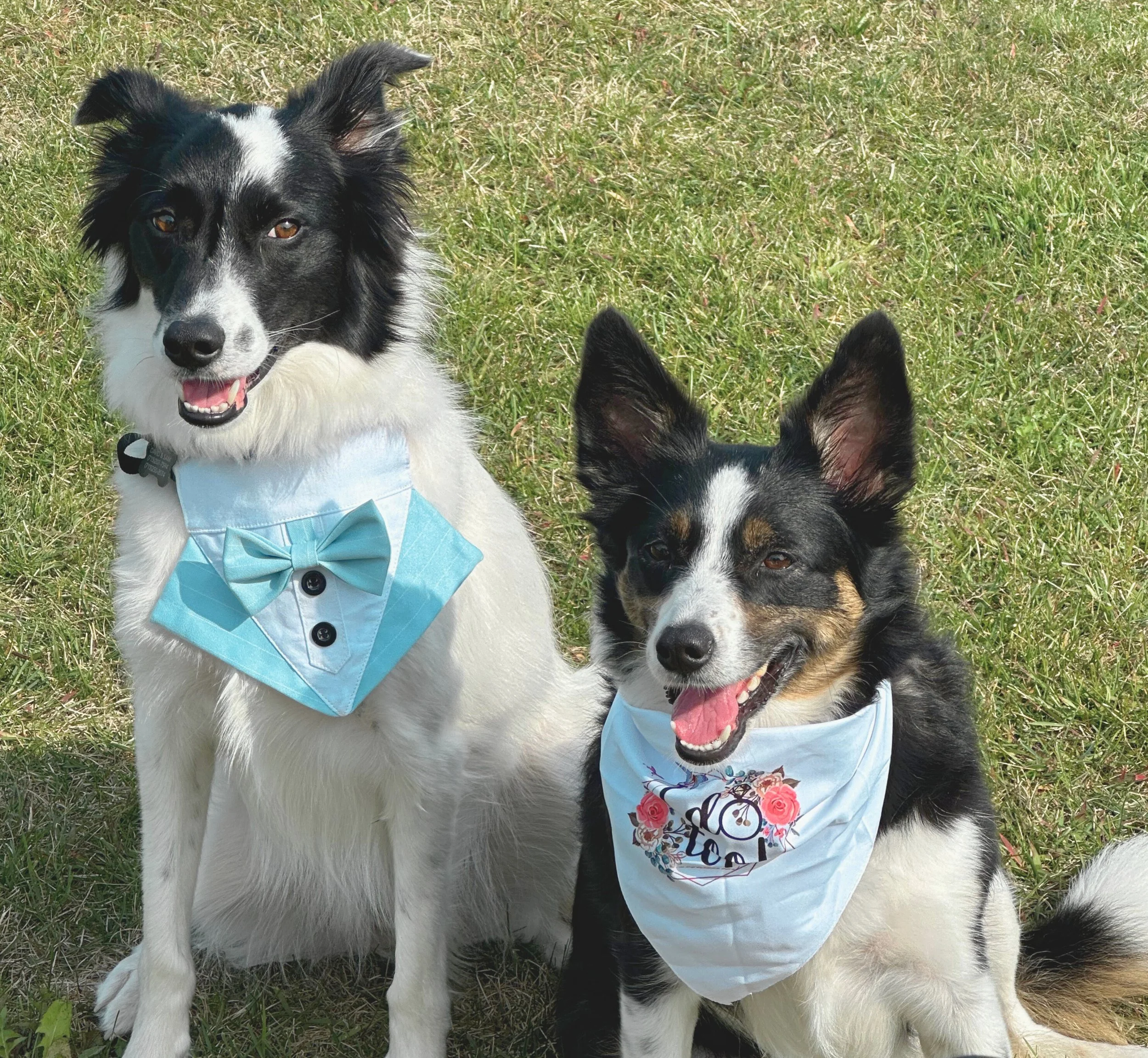 image_6483441 (24).JPG