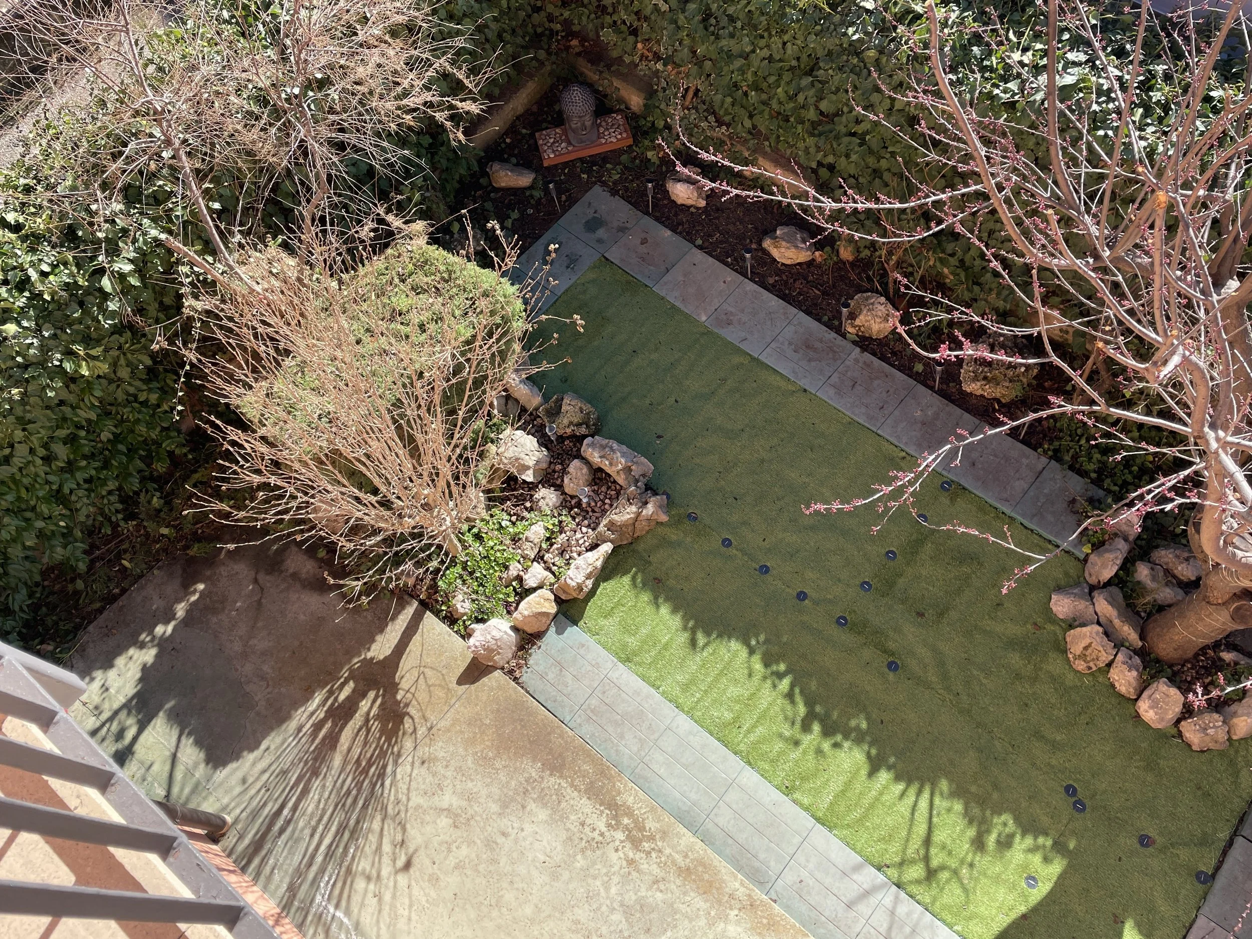 View of the garden below