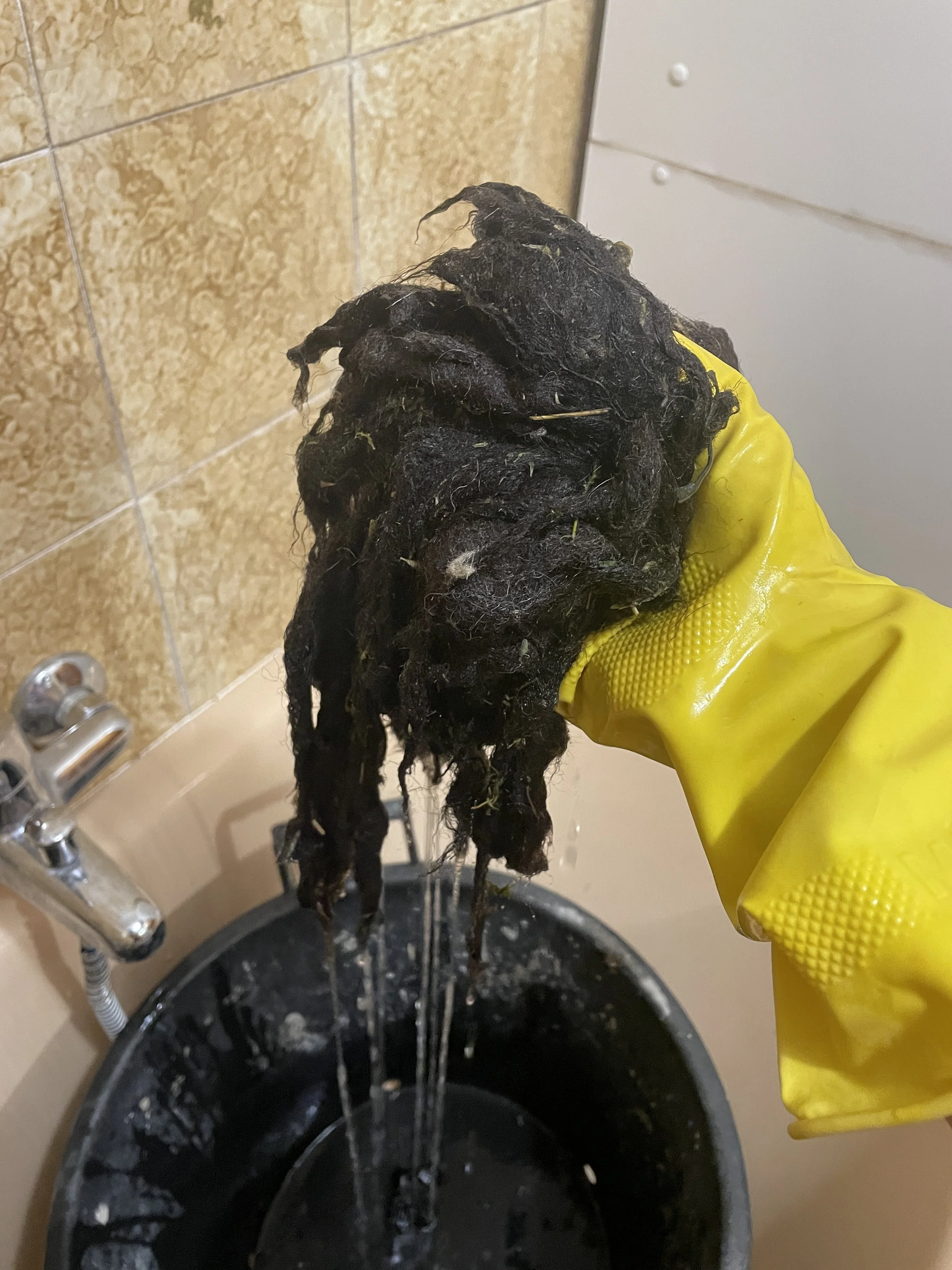 Washed wool