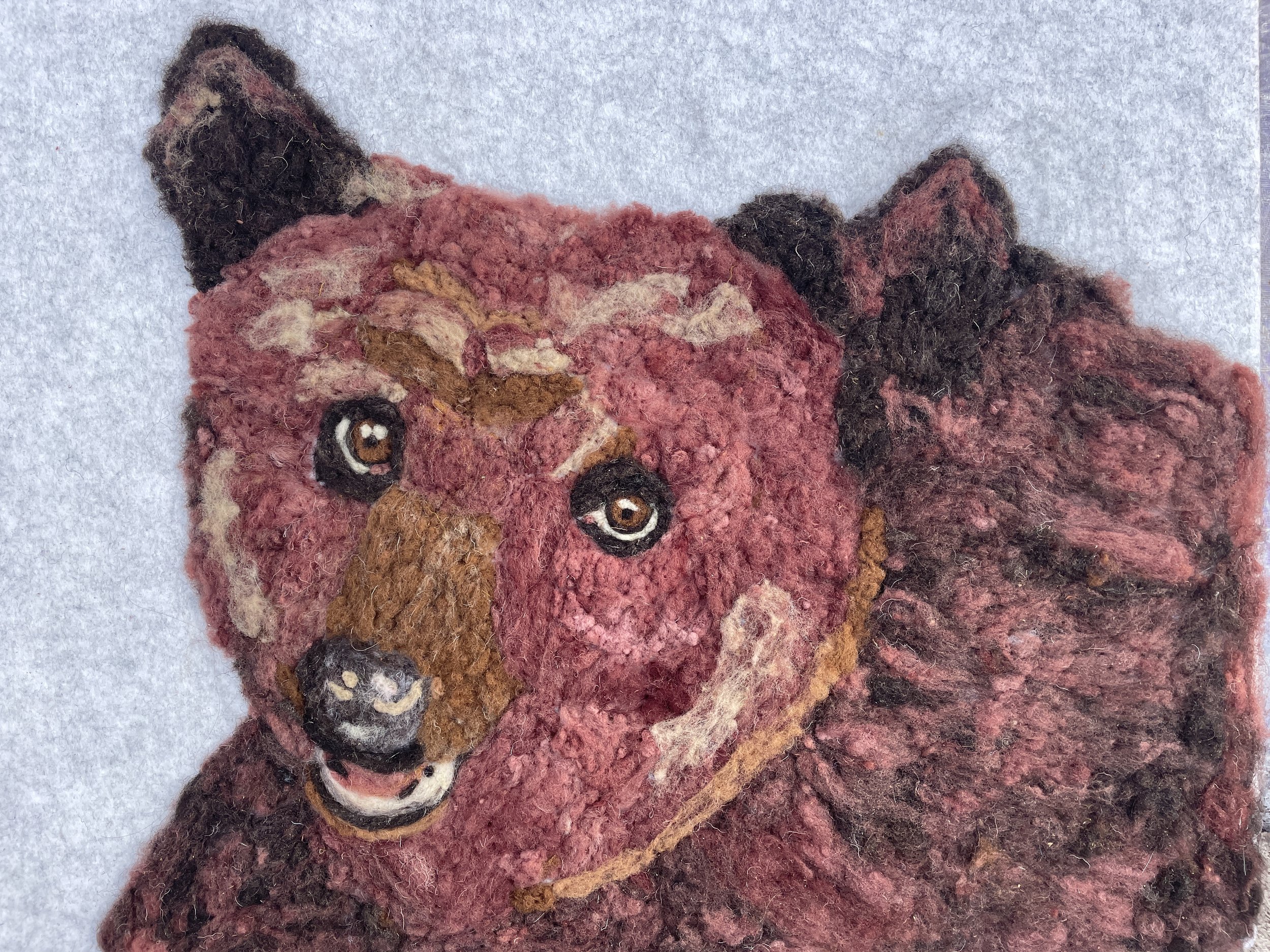 Bear