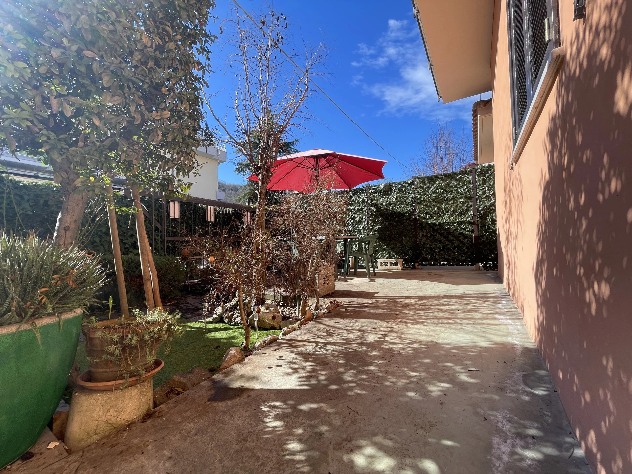 Blue skies over the garden