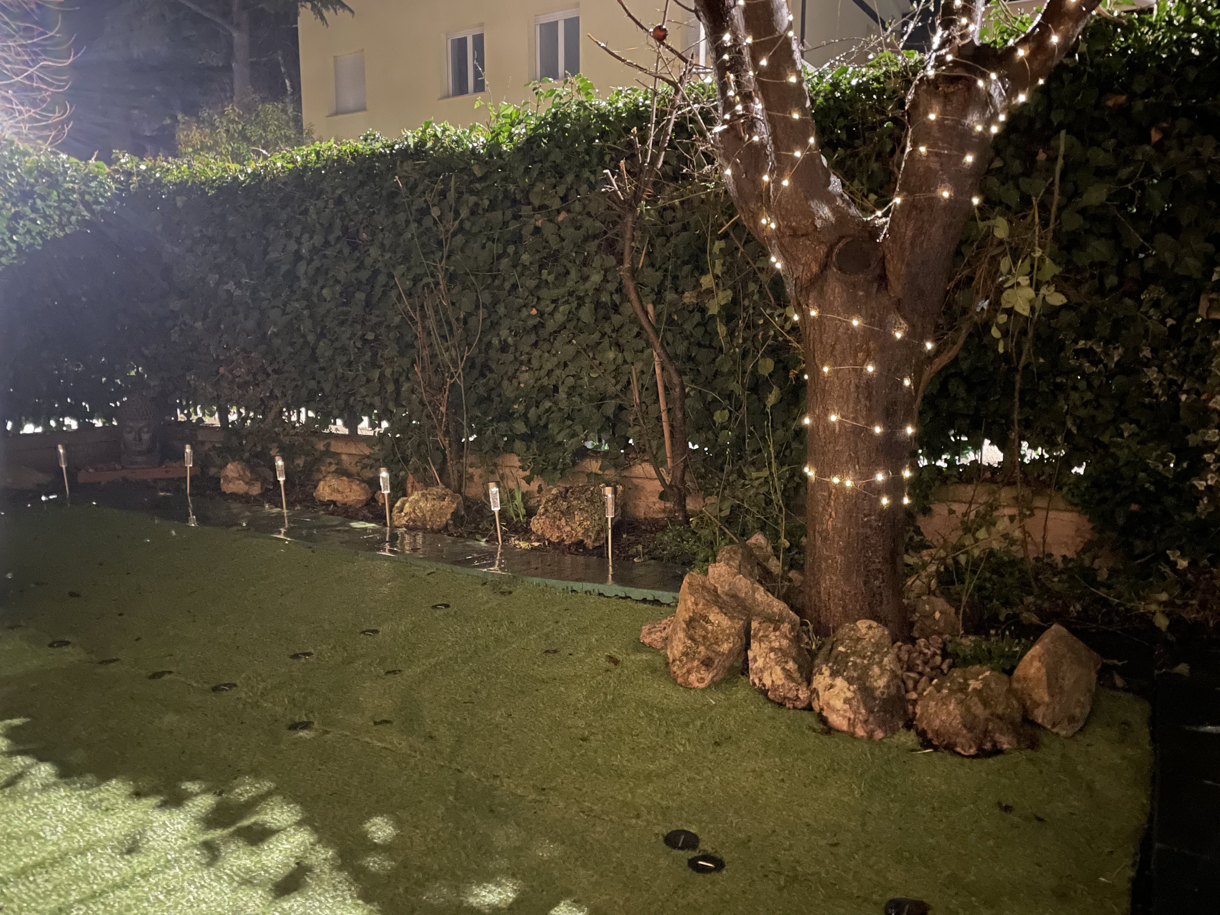 Garden at night