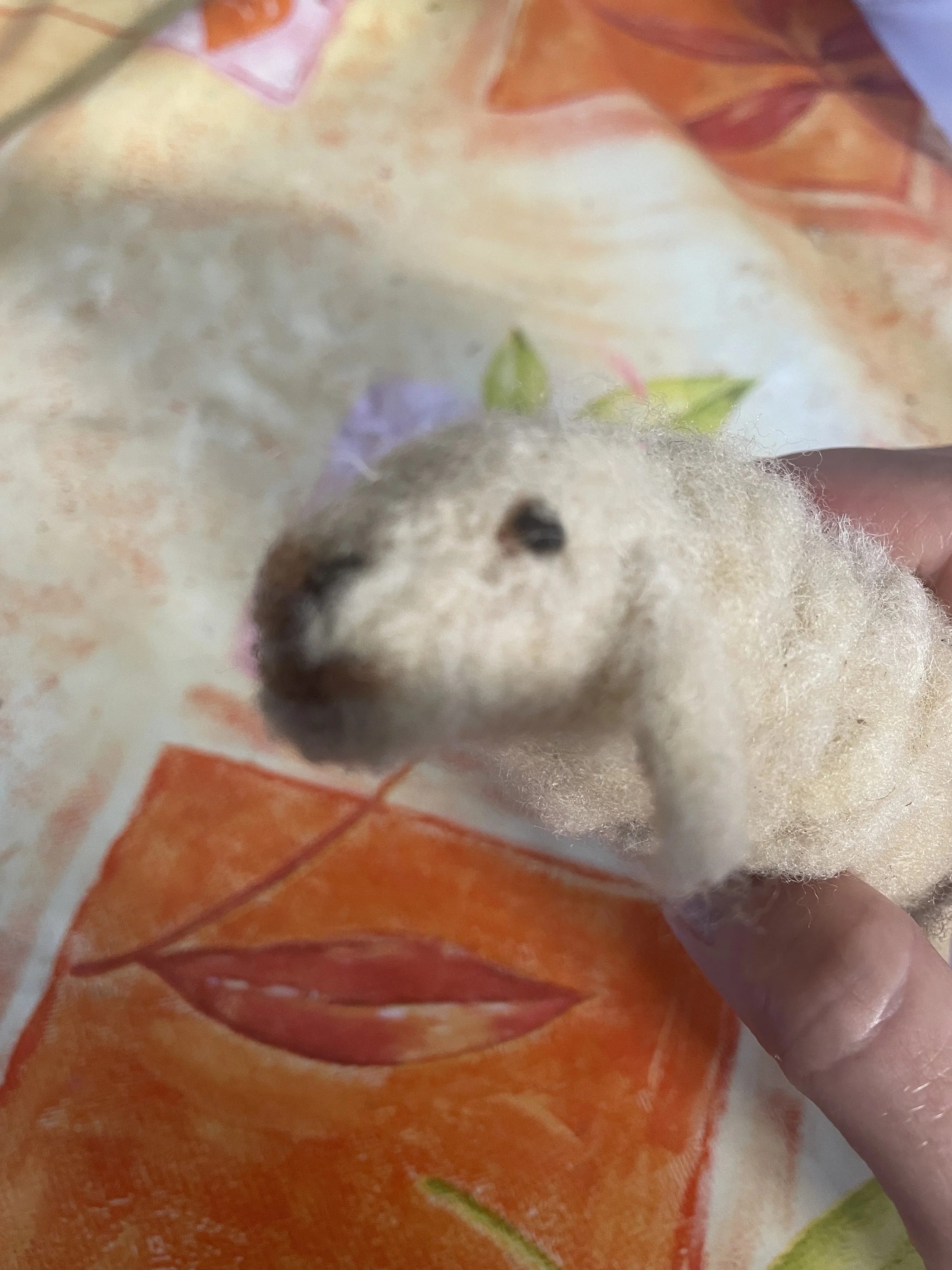 Sheep model prototype