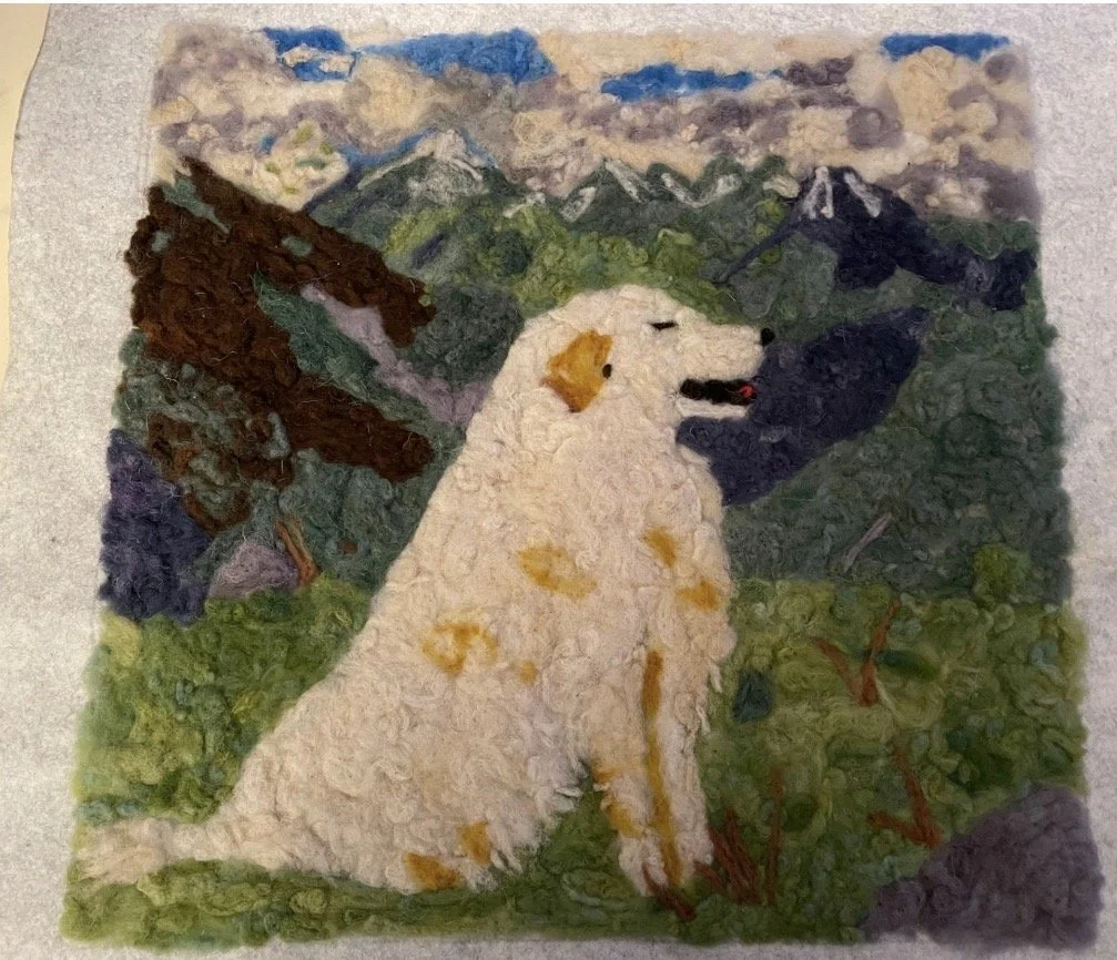 Abruzzo Shepherd dog