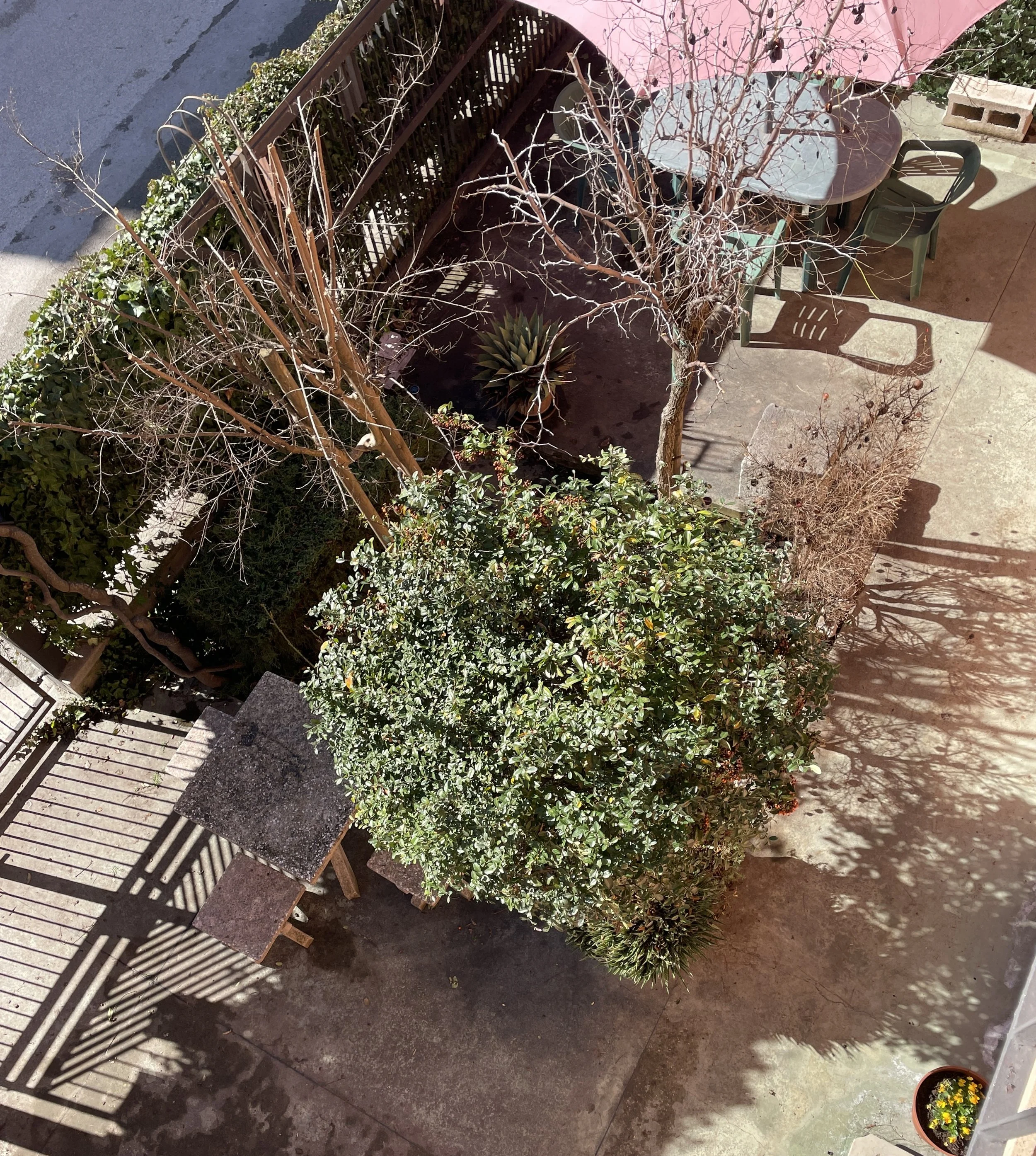 Spacious private garden