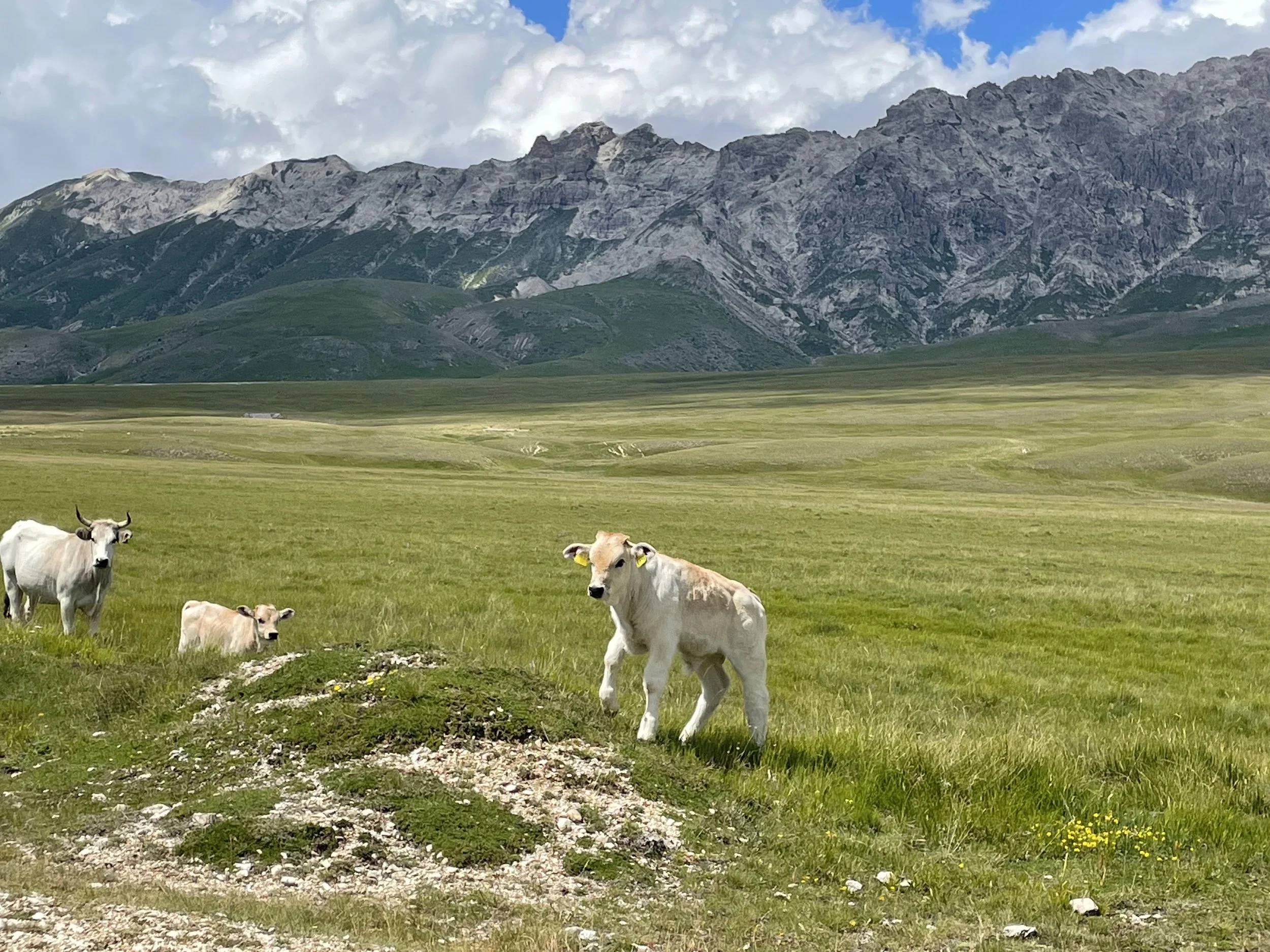 Campo Imperatore view