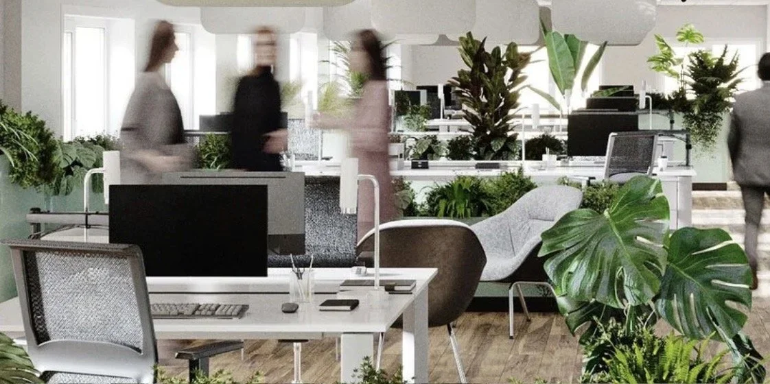 Aménagement de bureaux pour institutions internationales