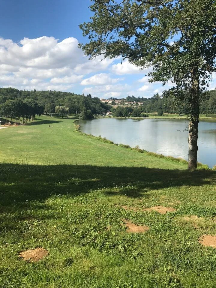 A scenic park with a grassy lawn, a large tree, a calm river, and a partly cloudy sky with some clouds and patches of blue.