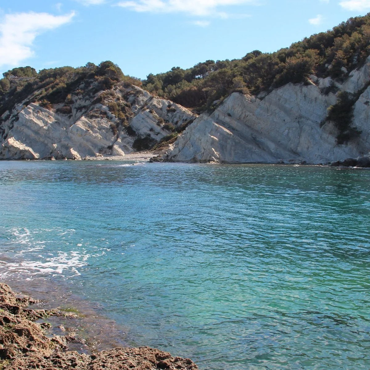 Coastal scene with turquoise water, rocky shore, and white cliffs covered with trees under a blue sky.