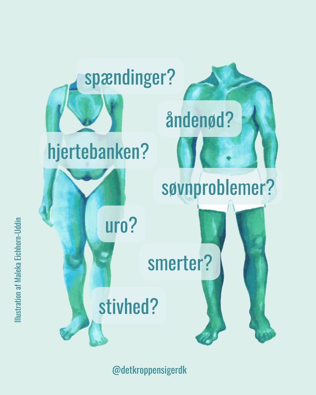 Din krop fort&aelig;ller om det liv du har levet - og det liv du lever lige nu. &Oslash;v dig i at forst&aring; det din krop siger - det kan guide dig til at f&aring; det bedre - og det kan ogs&aring; guide dig i de valg du tr&aelig;ffer, bl.a. fordi