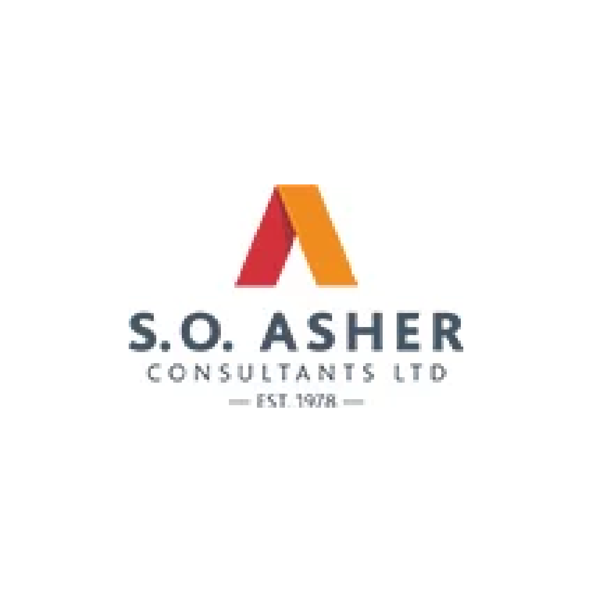  S.O. Asher Consultants Ltd logo 
