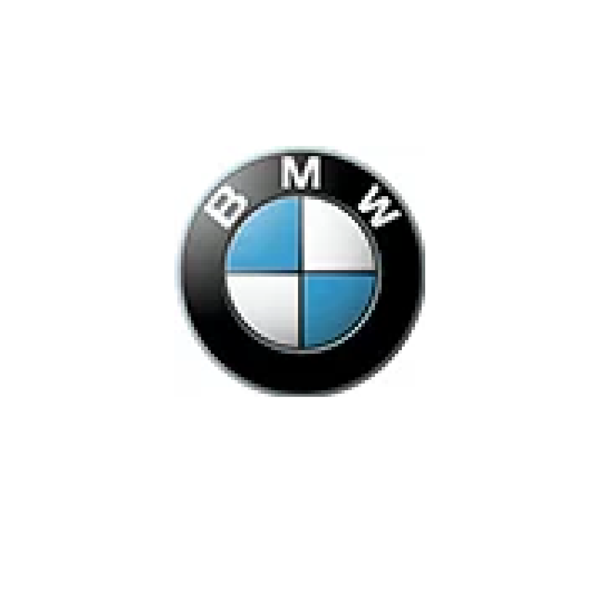  BMW logo 