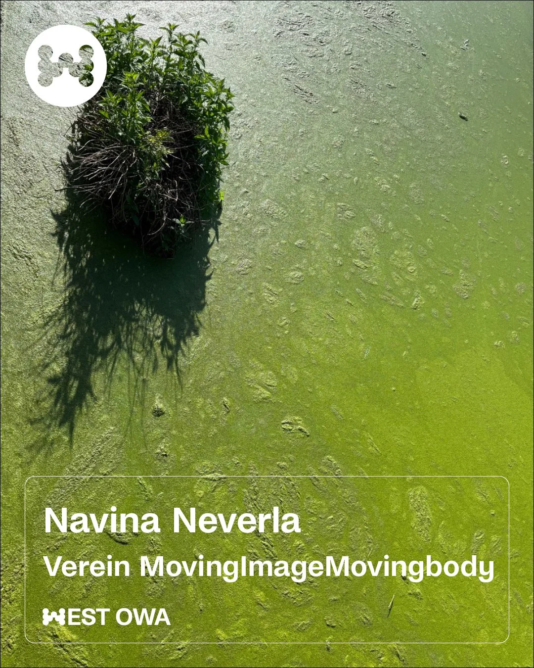 Navina Neverla
