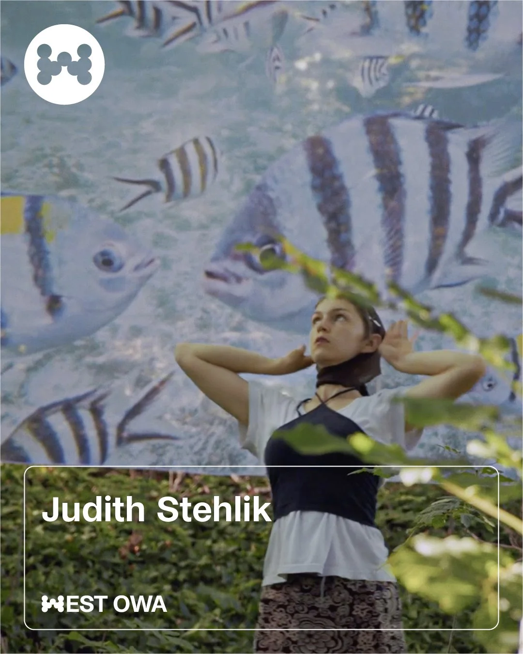 Judith Stehlik