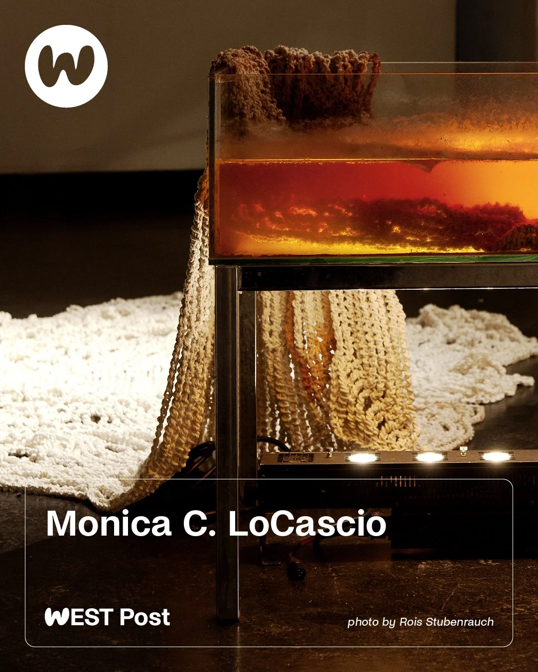 Monica C. LoCascio