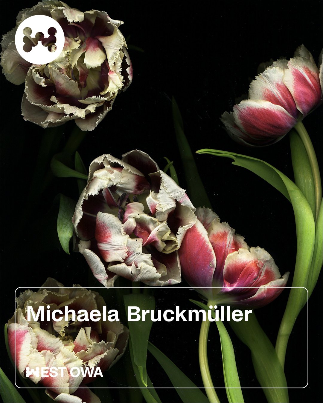 Michaela Bruckmüller