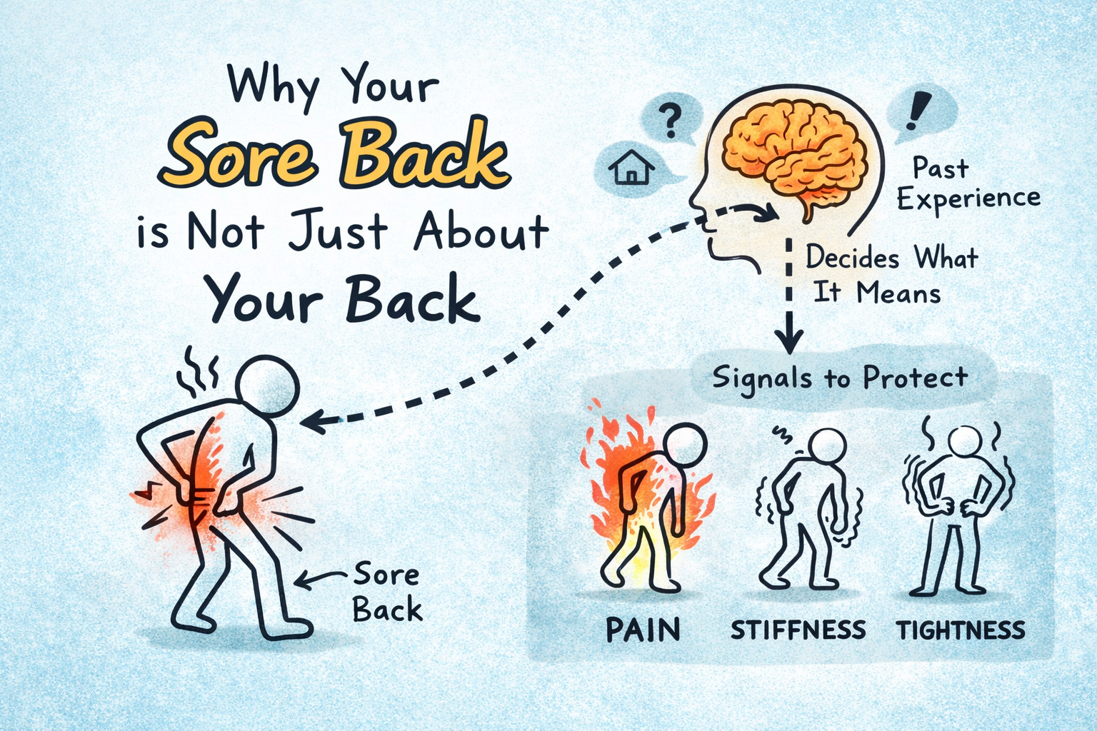 Why Your Sore Back Is Not Just About Your Back. 