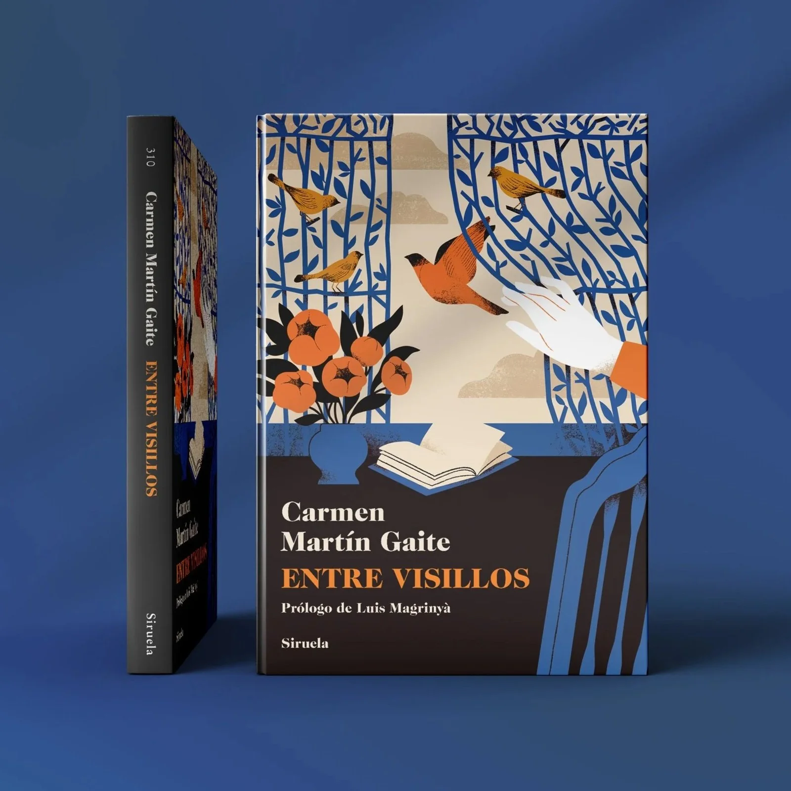 Entre Visillos - Book Cover