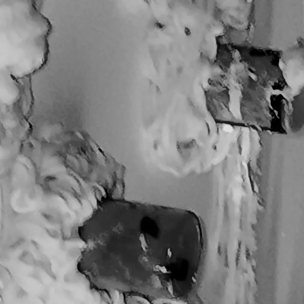 IMG_1375.jpeg
