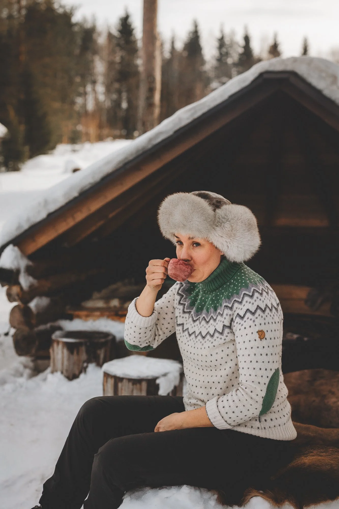 Lapland holiday