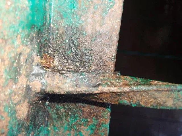 WhatsApp Image 2025-05-04 at 14.32.16.jpeg