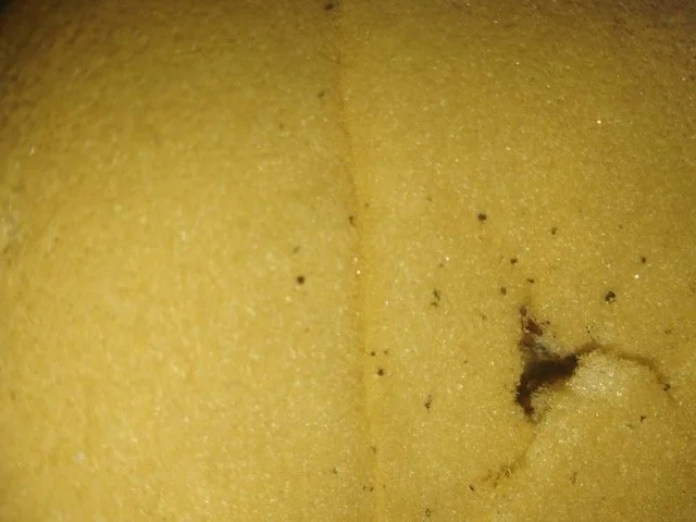 WhatsApp Image 2025-05-04 at 14.32.26.jpeg