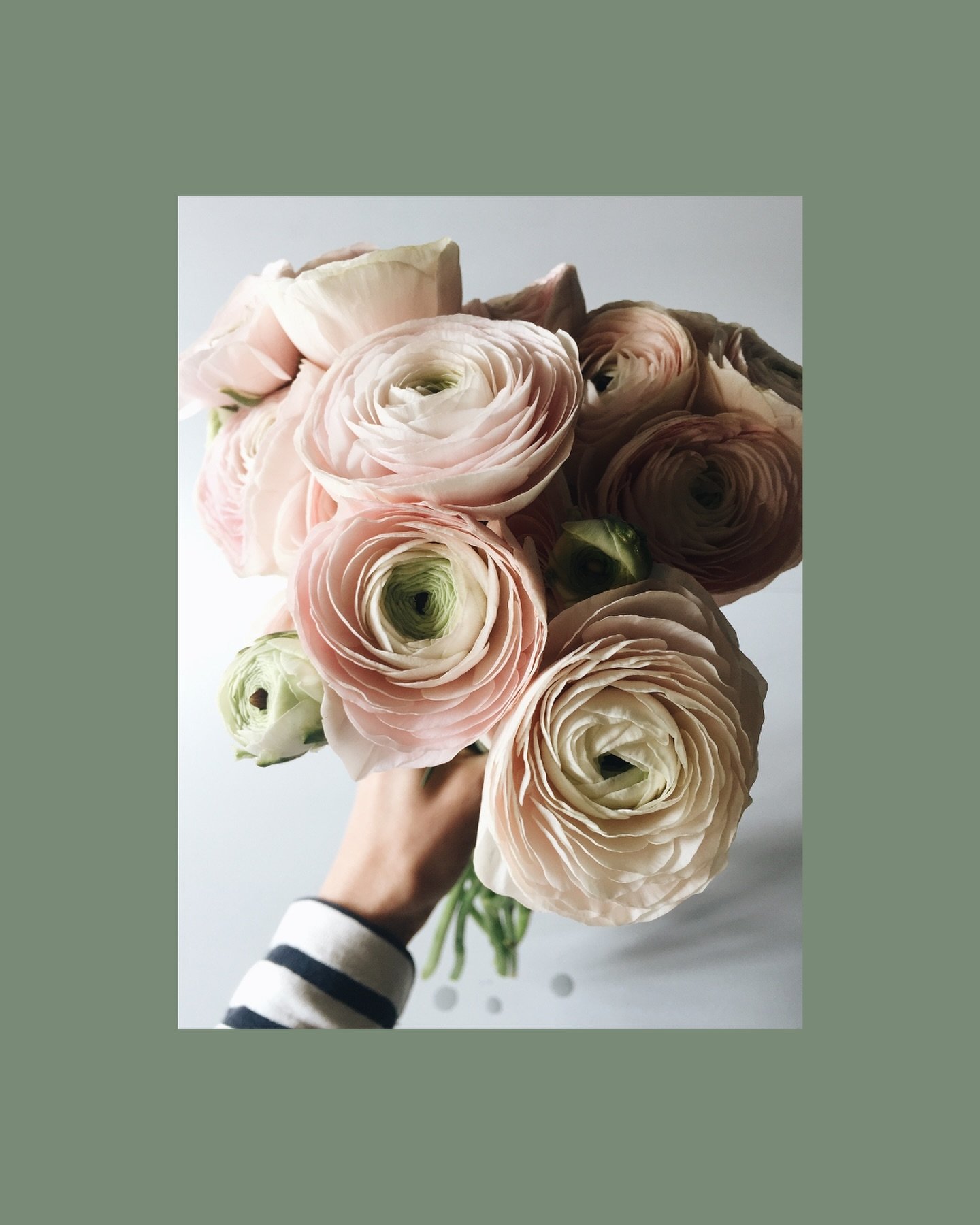 Is Throwback Thursday still a thing?! Updating my portfolio with new projects &amp; got distracted by these. All from my time working with @bloomsdonebeautifully - producing a bespoke Shopify website design, monthly newsletters, socials and generally