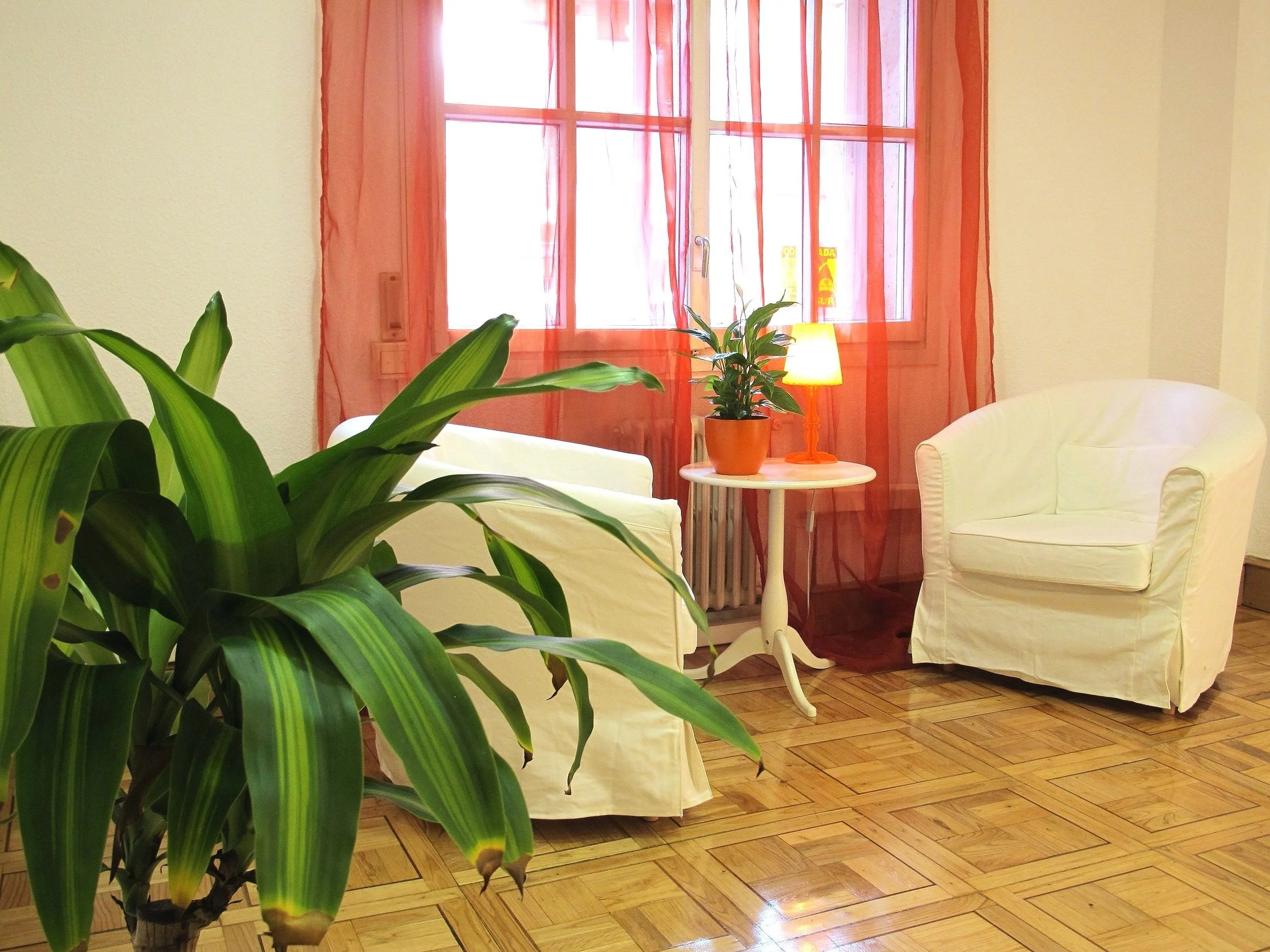 Sala de estar con sillones blancos, planta en una mesa junto a una lámpara, cortinas de color rojo transparentes y suelo de madera.