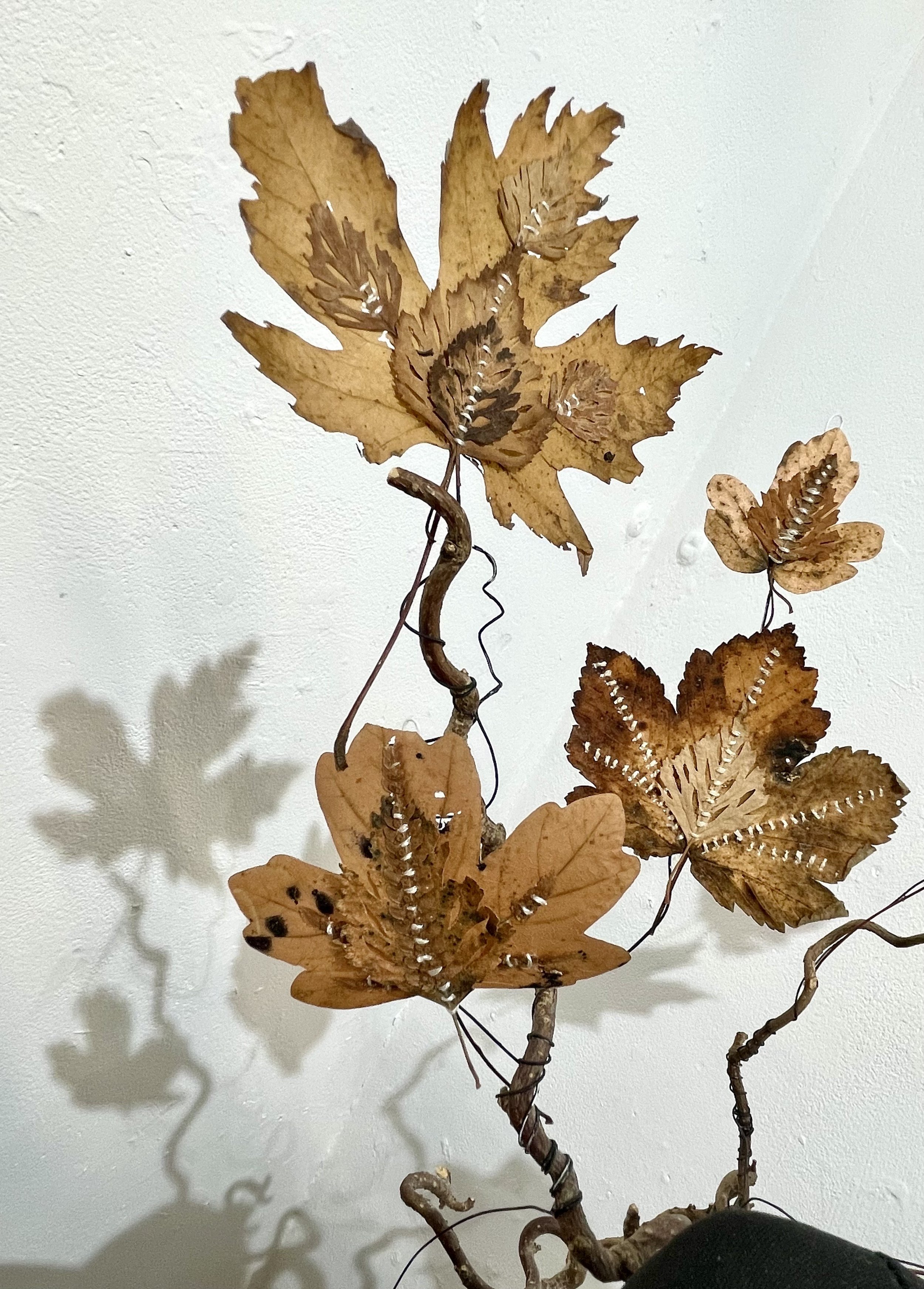 leafshadows.jpeg