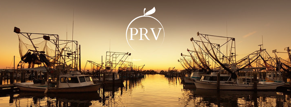 Things to Do in Plaquemines Parish This Fall: Outdoors, Fishing, Hunting &amp; the Orange Festival