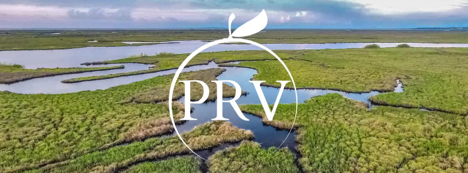 RV Living Made Easy: Amenities That Make Long Stays Comfortable