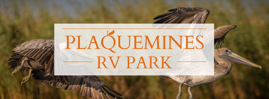 Springtime in Plaquemines: Outdoor Activities Near the Park