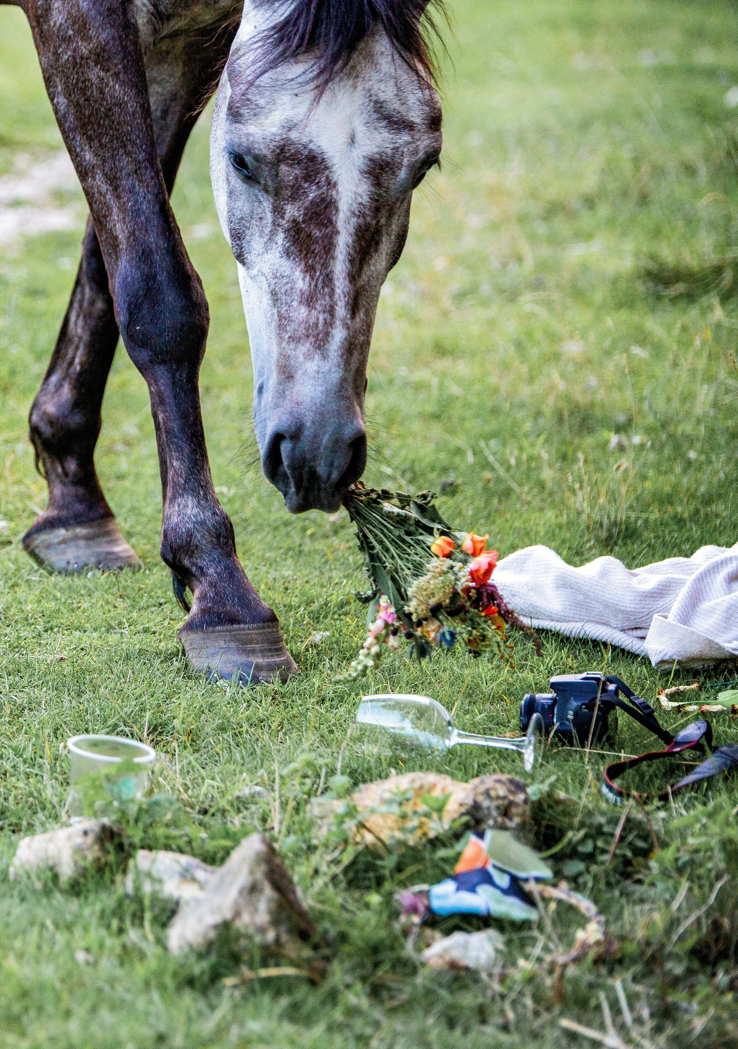 29 July 19-56-51 JACK_.jpg