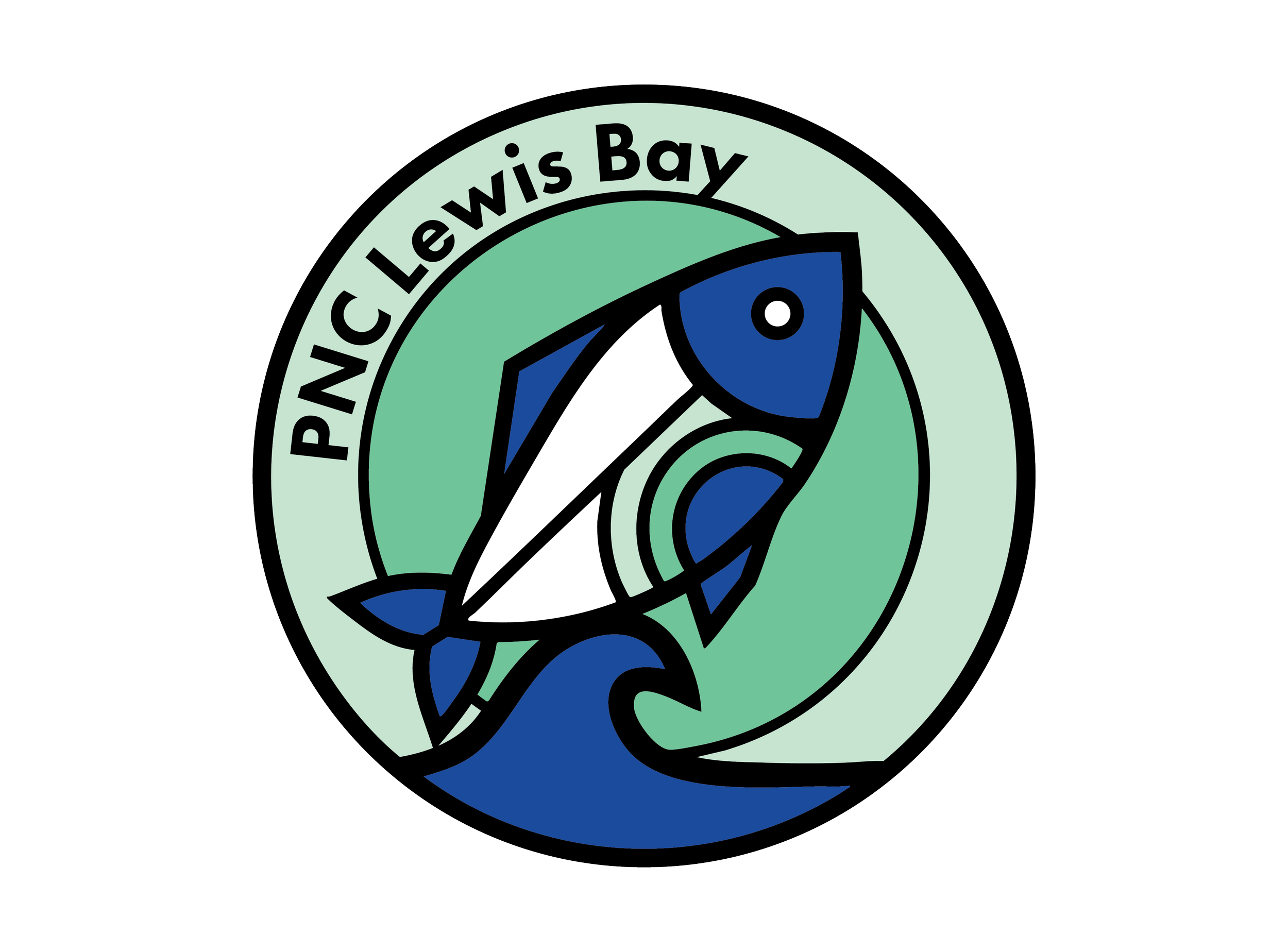 A circular logo with the text "Pacific Lewi's Bay" surrounding a stylized surfer riding a wave, featuring shades of blue, green, black, and white.