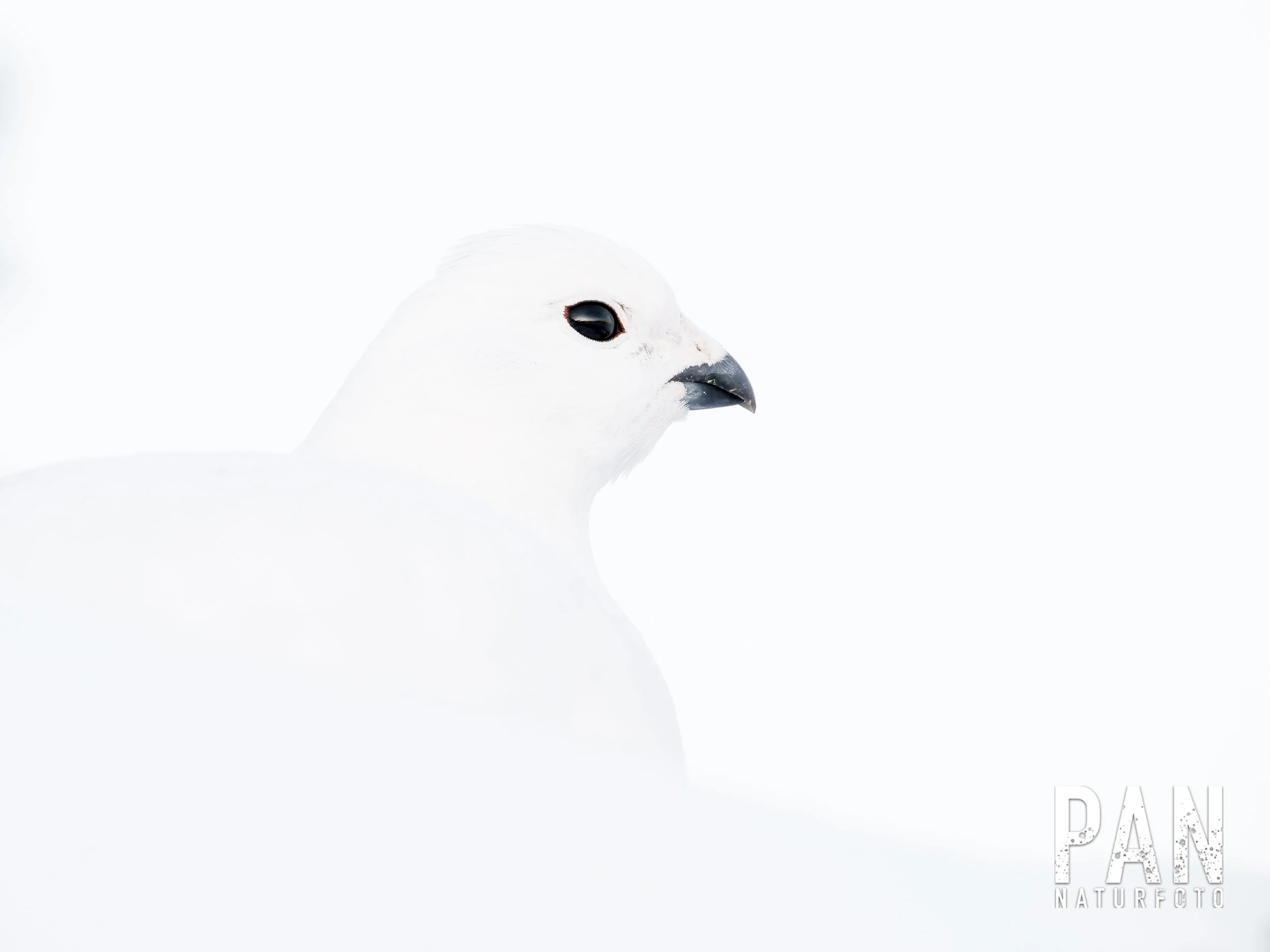 20250201-DSC01557.jpg