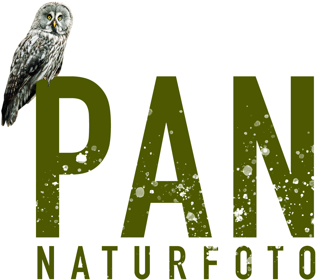 PAN NATURFOTO