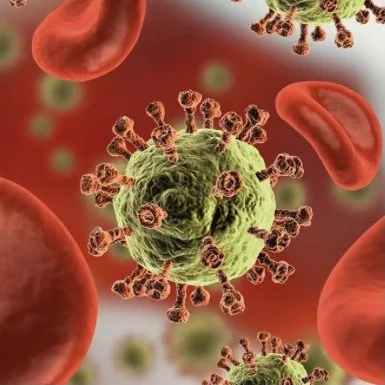 Bloodborne Pathogen Training (Online Class)