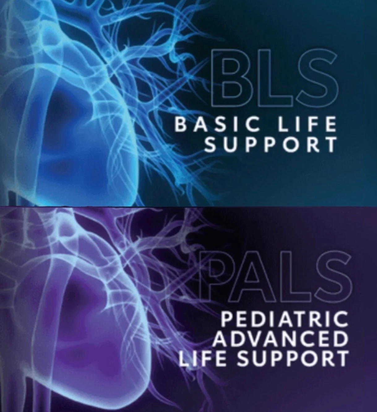 Two digital graphics of a human heart with neural-like connections, labeled as BLS Basic Life Support and PALS Pediatric Advanced Life Support.