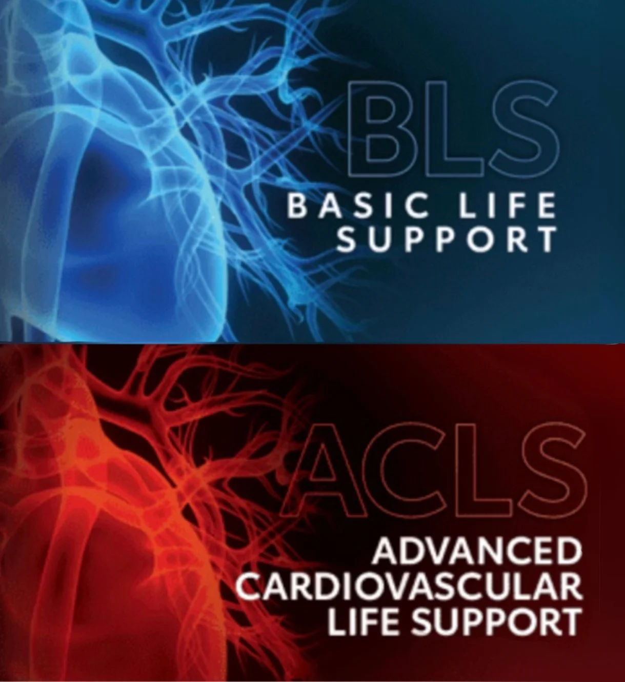 Graphics promoting basic life support (BLS) and advanced cardiovascular life support (ACLS), with blue and red abstract representations of the heart and vascular system.