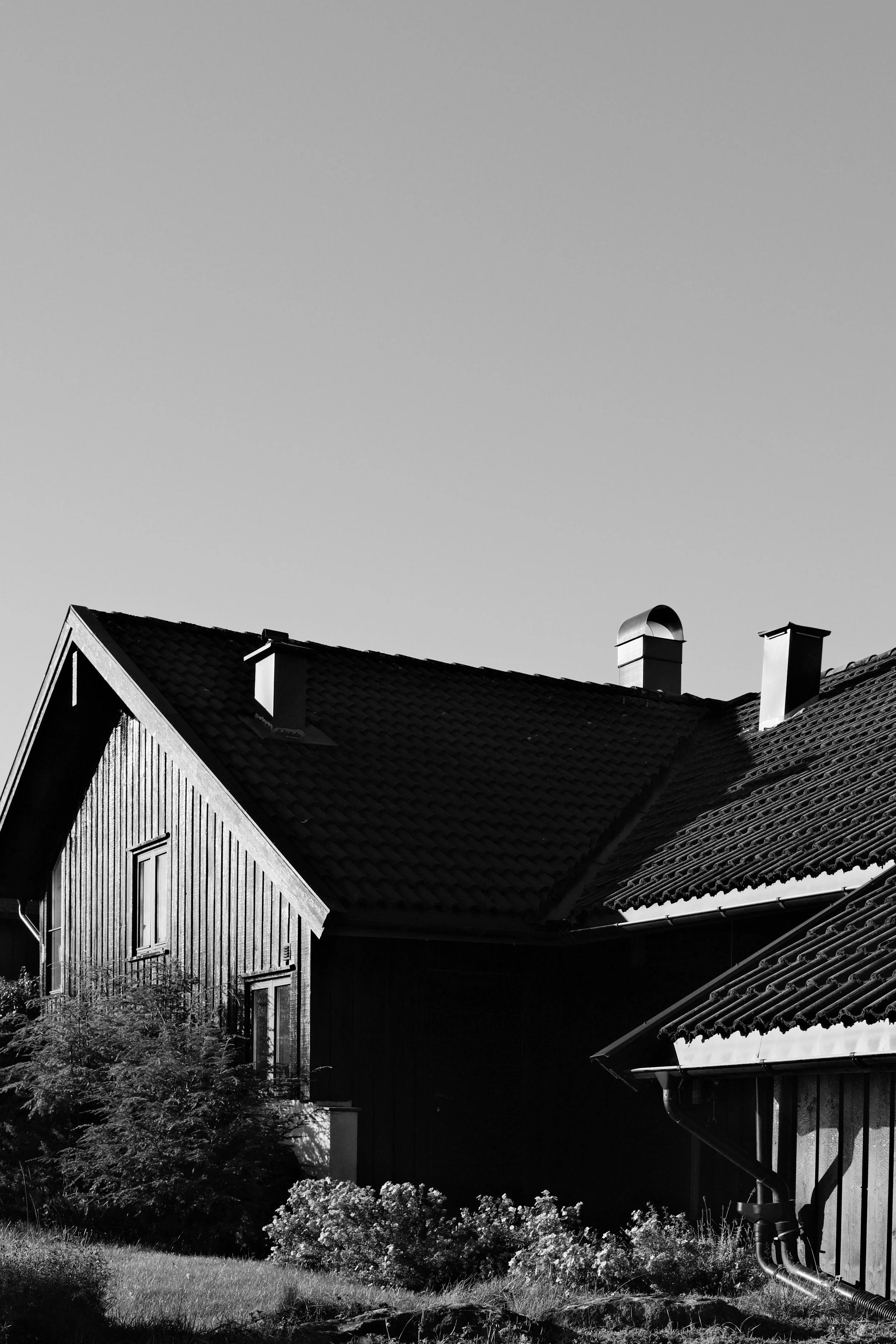 DSCF3918.jpg