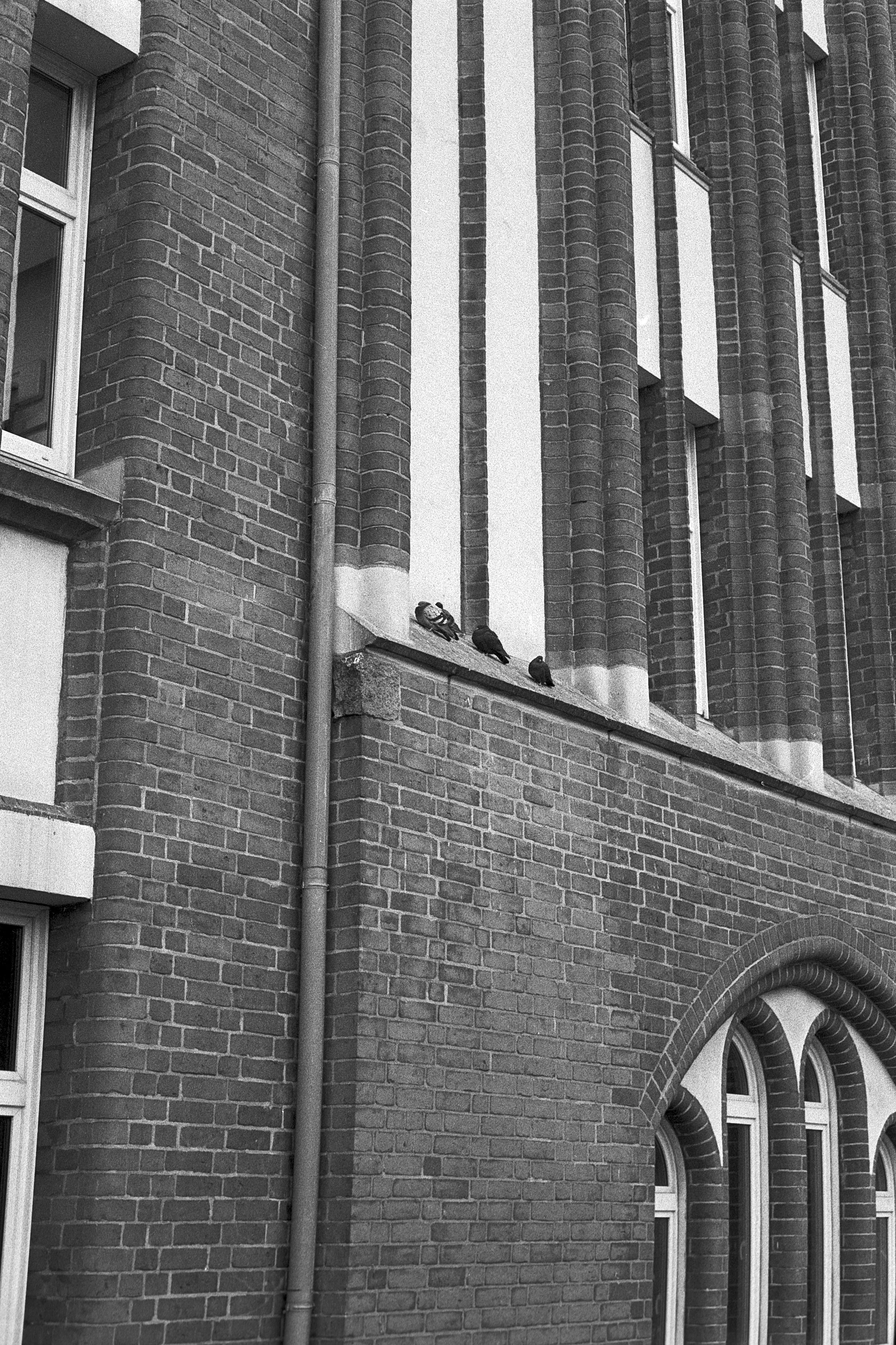 hamburg_book-13.jpg