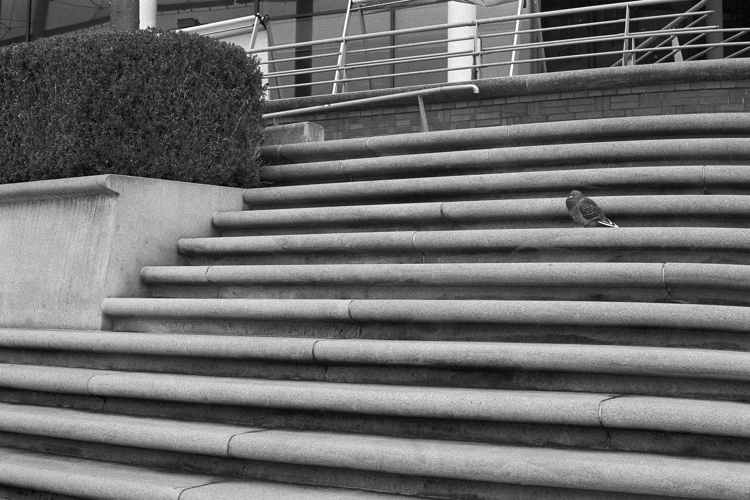 hamburg_book-40.jpg
